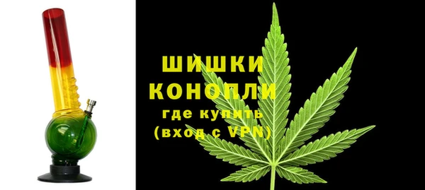 амф Верхний Тагил