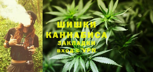 амф Верхний Тагил