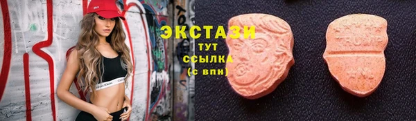 амф Верхний Тагил
