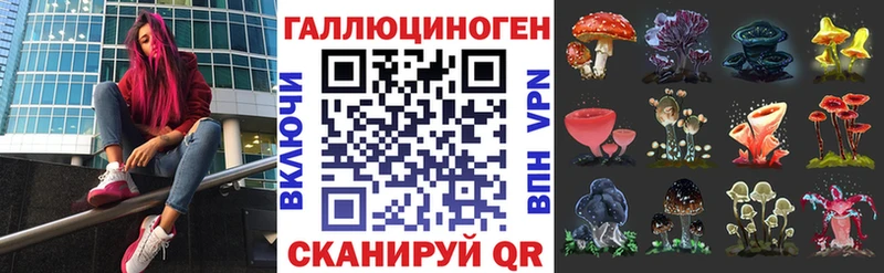 хочу наркоту  Черняховск  гидра как зайти  Псилоцибиновые грибы ЛСД 
